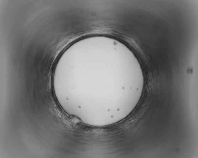 X0000111951268200908241156