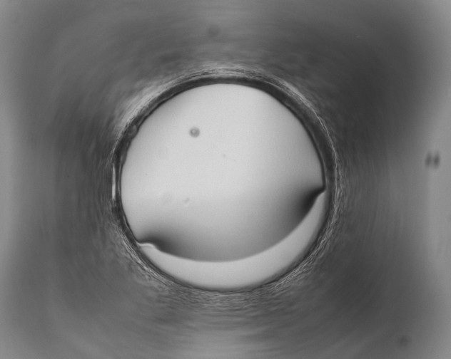 X0000111951269200908241155