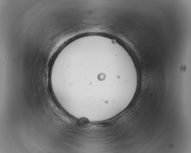 X0000111951270200908241155