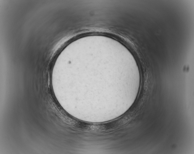 X0000111951271200908241155