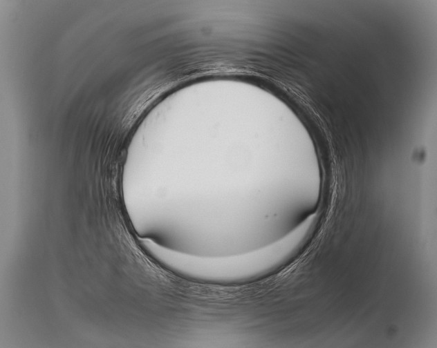 X0000111951273200908241155