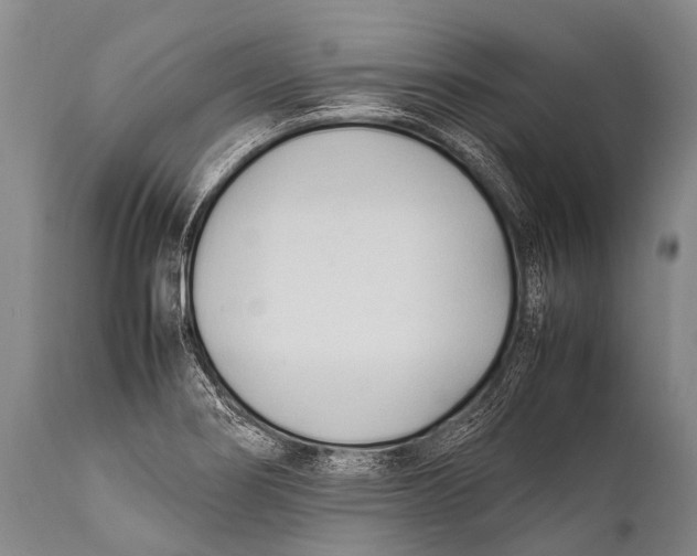 X0000111951274200908241155