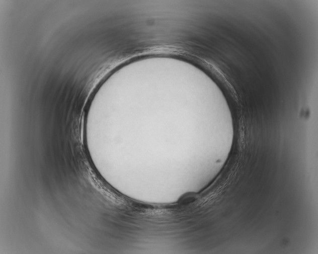 X0000111951276200908241155