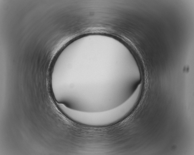 X0000111951277200908241155