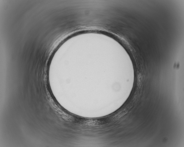X0000111951279200908241155