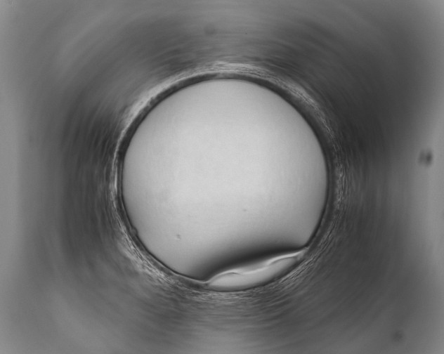 X0000111951280200908241155