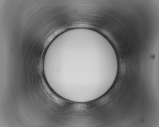X0000111951282200908241155