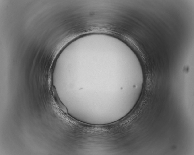 X0000111951284200908241155
