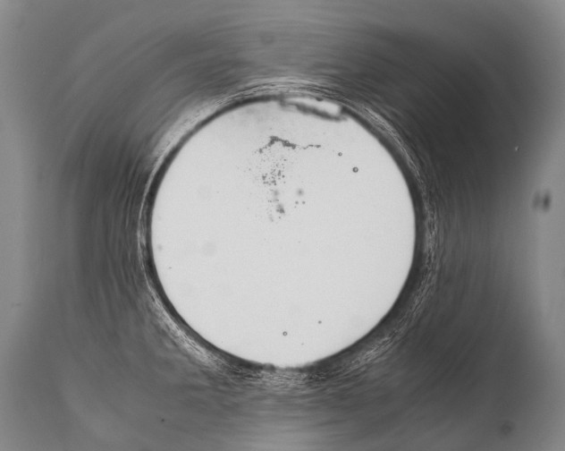 X0000111951285200908241155