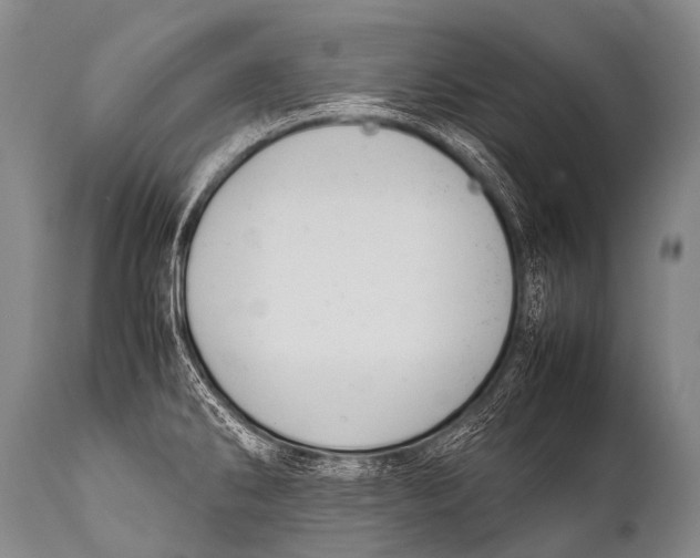 X0000111951286200908241155