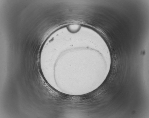 X0000111951287200908241155