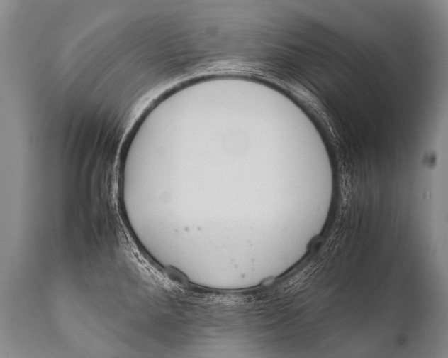 X0000111951288200908241155