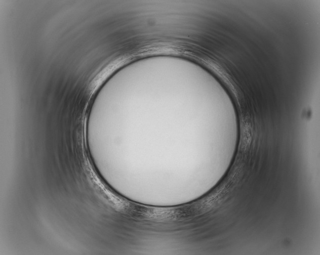 X0000111951290200908241155