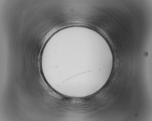 X0000111951291200908241155