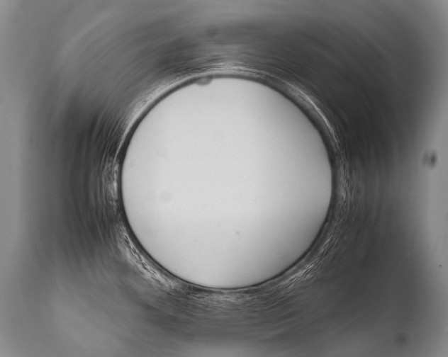 X0000111951292200908241155