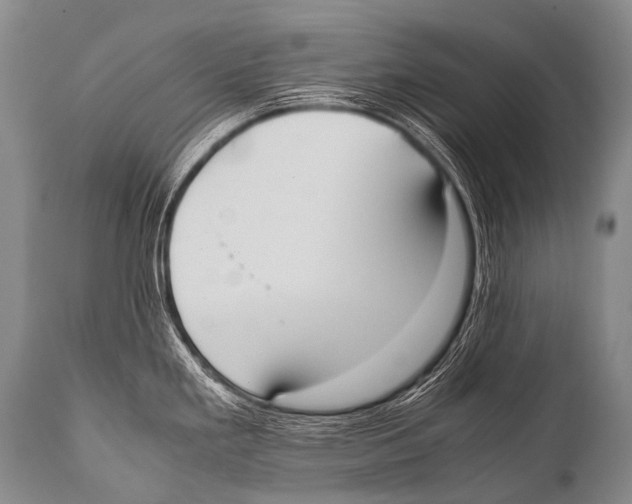 X0000111951293200908241155