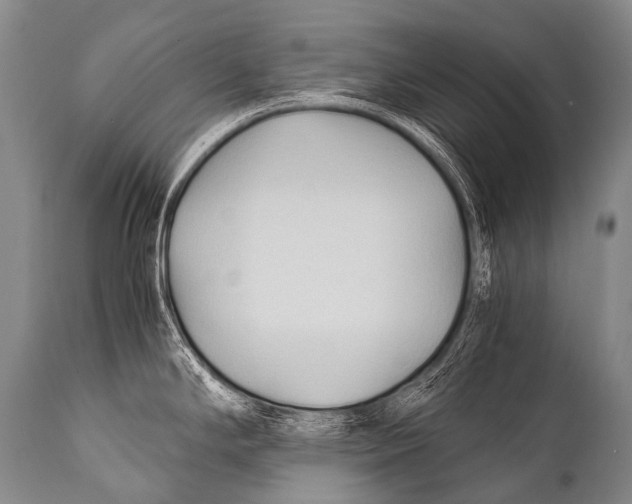 X0000111951294200908241155