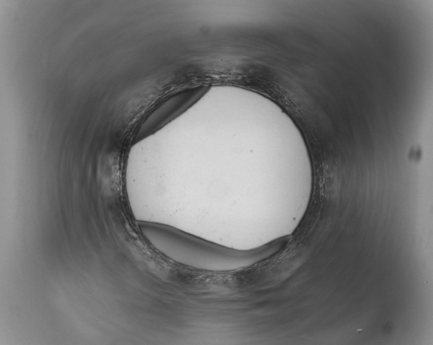 X0000111951298200908241154