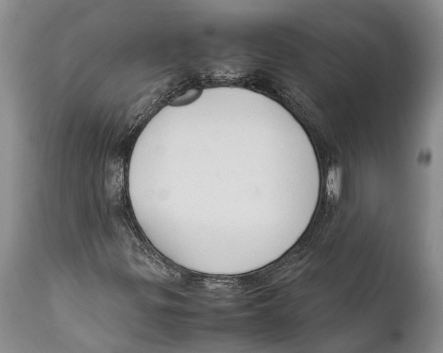X0000111951299200908241154