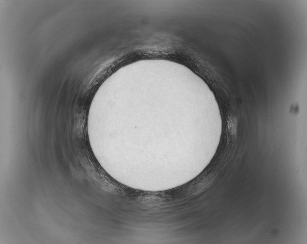 X0000111951300200908241155