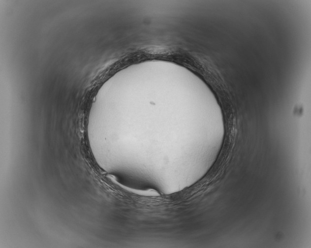 X0000111951301200908241155