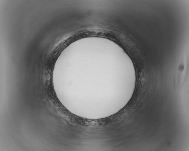 X0000111951302200908241155