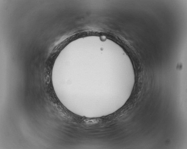X0000111951303200908241155