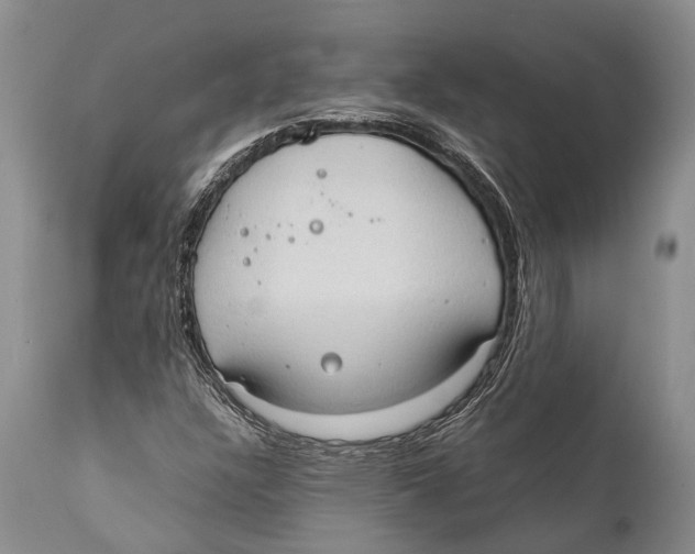 X0000111951304200908241155