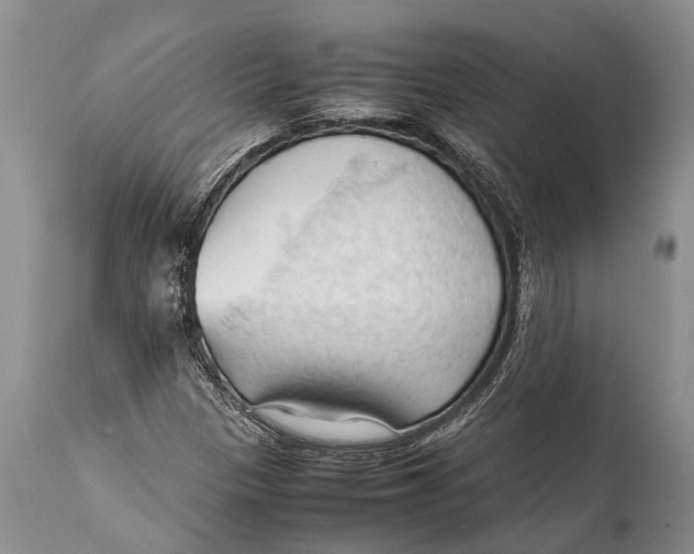 X0000111951305200908241155