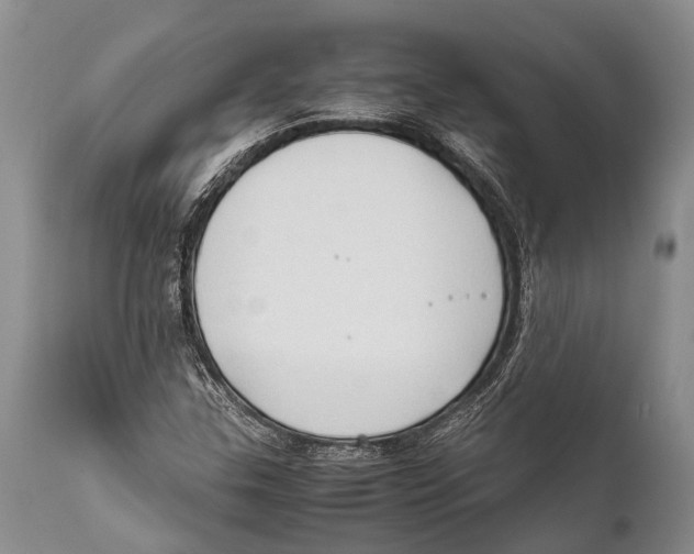 X0000111951307200908241155