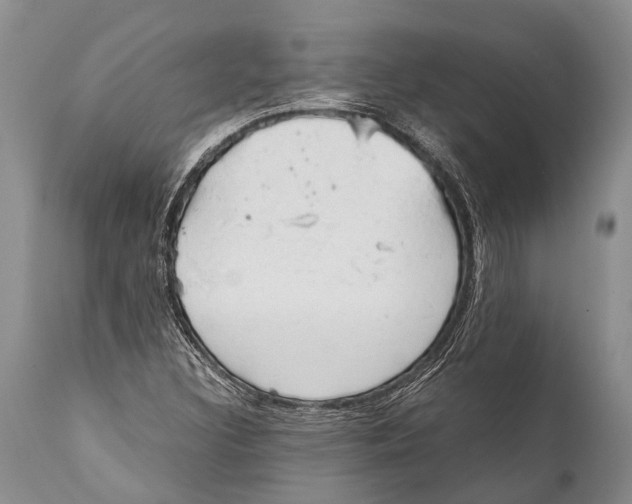 X0000111951308200908241155