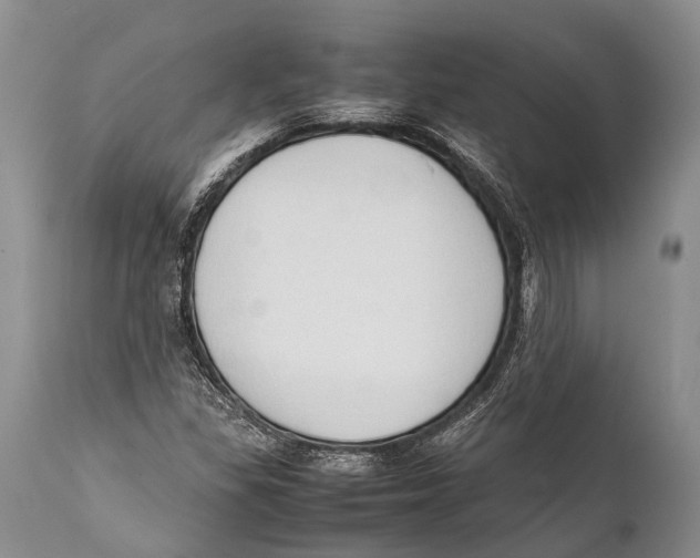 X0000111951309200908241155