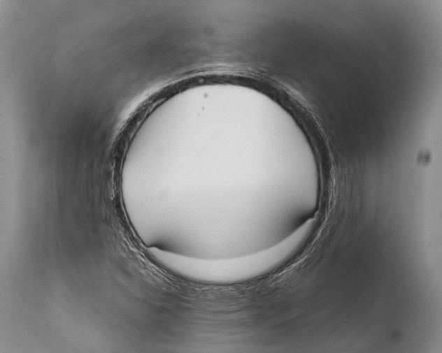 X0000111951310200908241155