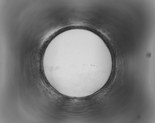 X0000111951311200908241155