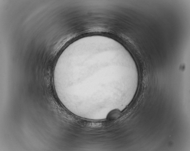 X0000111951313200908241155