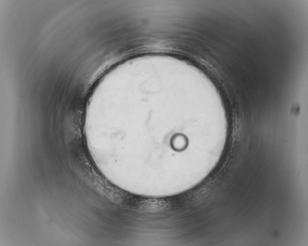 X0000111951314200908241155