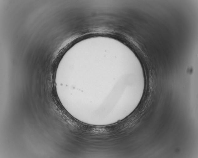 X0000111951315200908241155