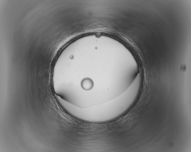 X0000111951316200908241155