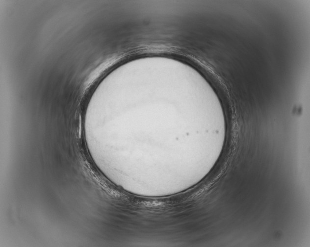 X0000111951317200908241155