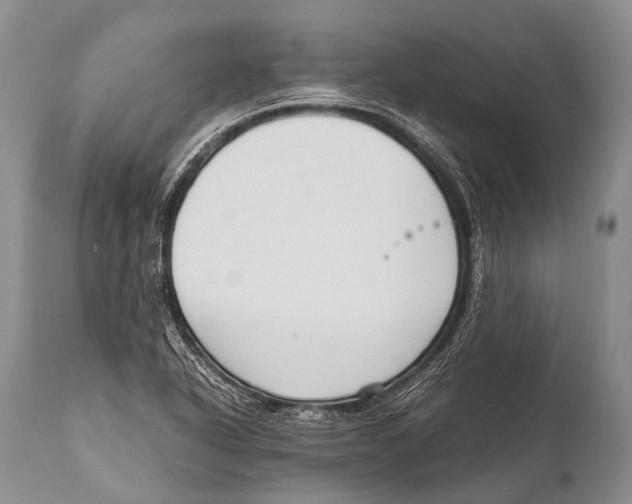X0000111951318200908241155