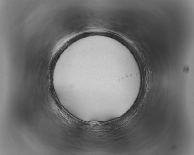 X0000111951319200908241155