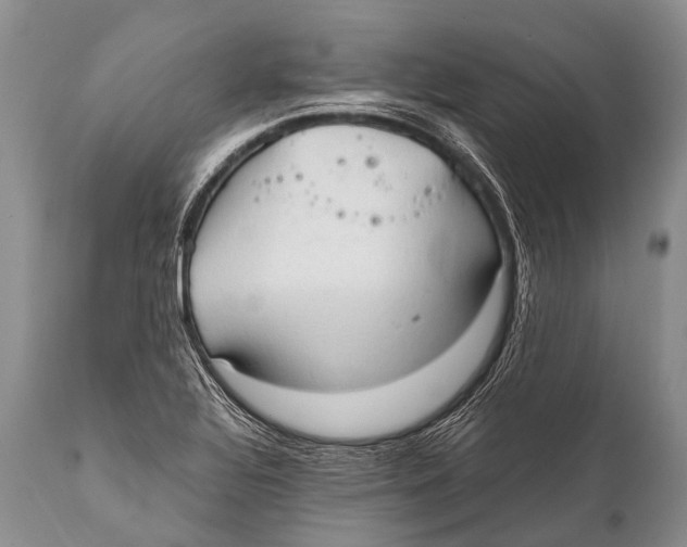 X0000111951320200908241155