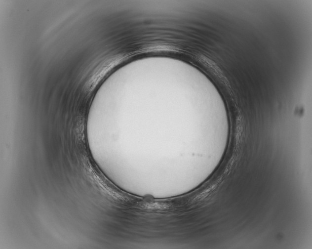 X0000111951321200908241155