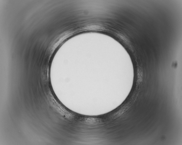 X0000111951322200908241155