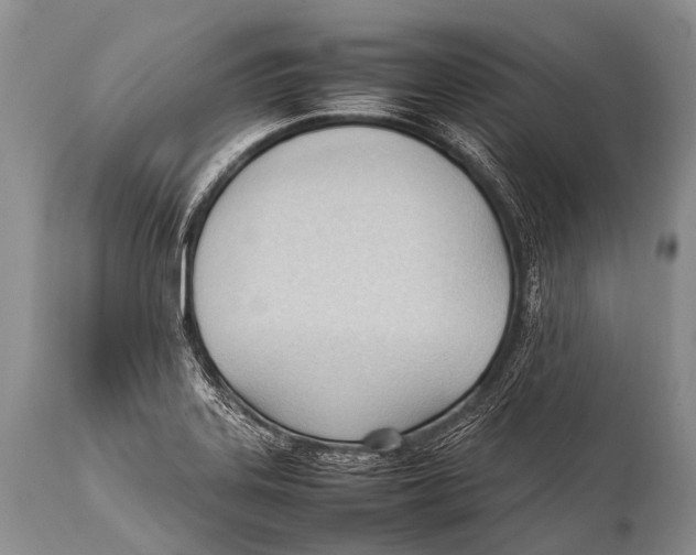 X0000111951323200908241155