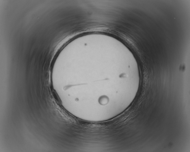 X0000111951324200908241155