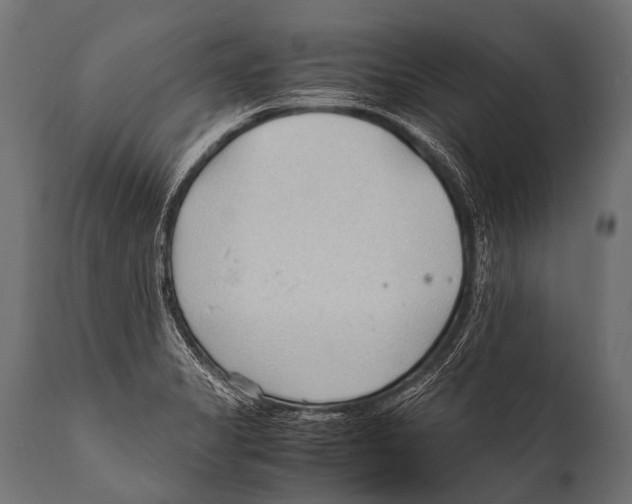 X0000111951325200908241155