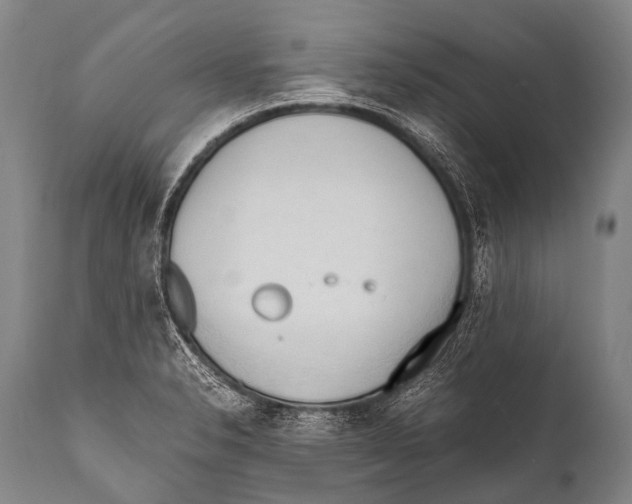 X0000111951326200908241155