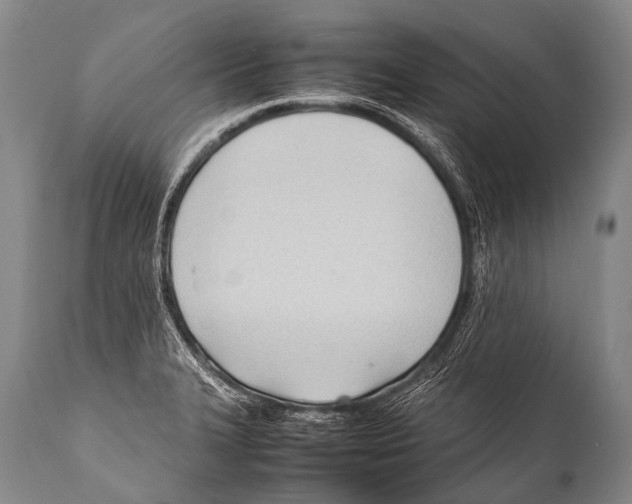 X0000111951327200908241155