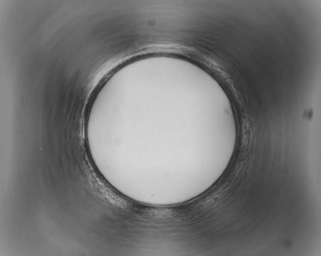 X0000111951328200908241155